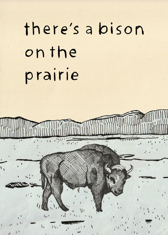 There's a Bison on The Prairie NEIFF 2022